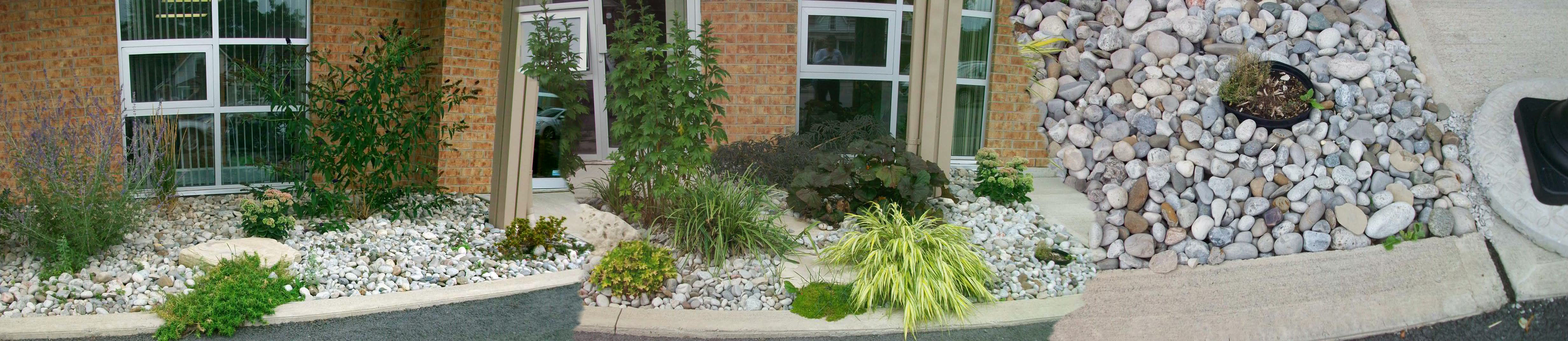 Landscaping featuring some light coloured rocks, shrubs and green plants